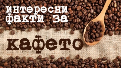 Interesting facts about coffee